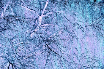T 096B